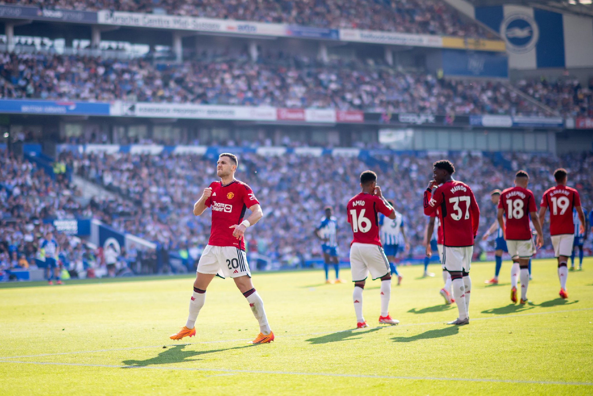 或许揭示了 或许揭示了