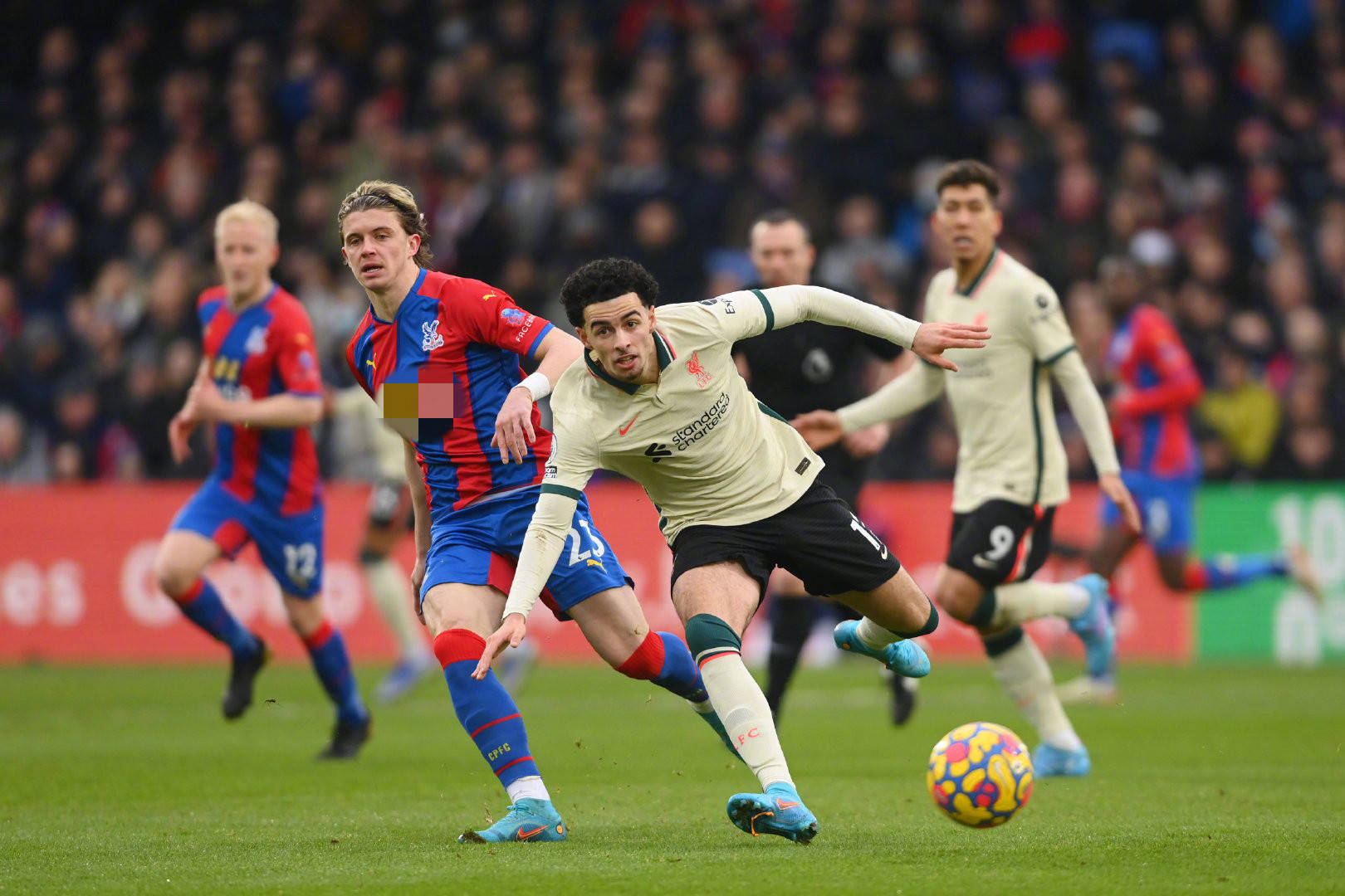 椰子鸡的关 椰子鸡的关